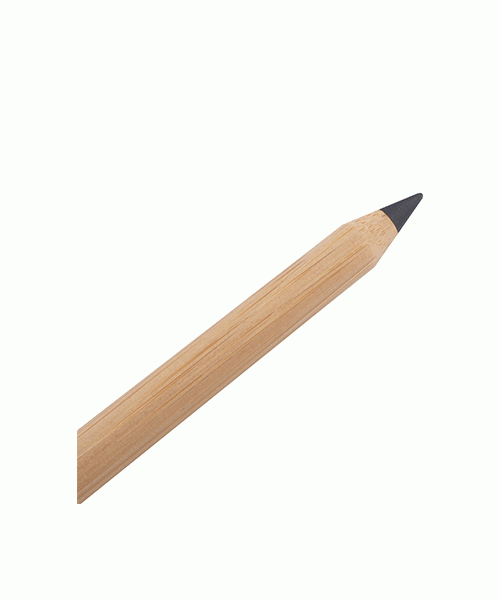 INKLESS BAMBOO PEN